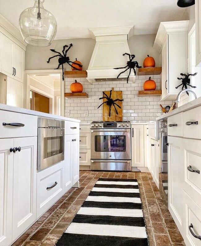 Spider-Themed Kitchen Invasion