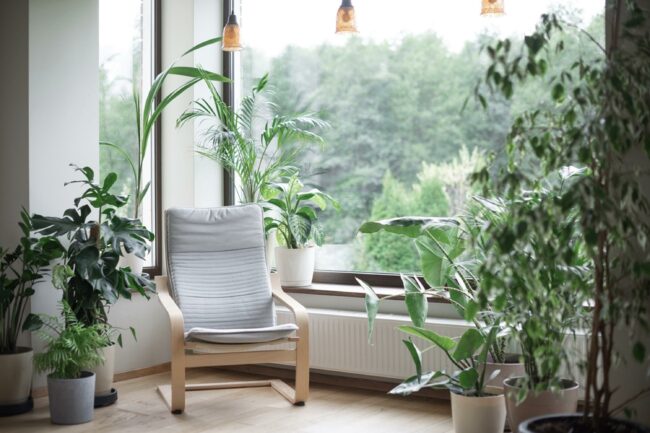 Ways to Make Your Home More Sustainable