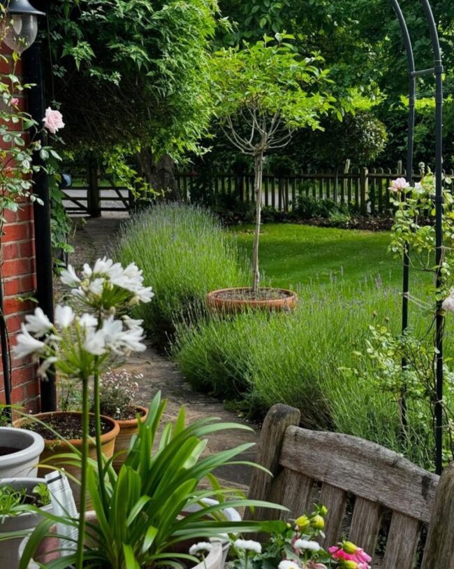 Cozy Cottage-Style Garden