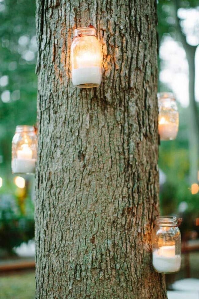 Tree Bark Illuminated by Candlelight