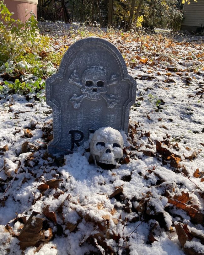 Skull Tombstone in the Snow