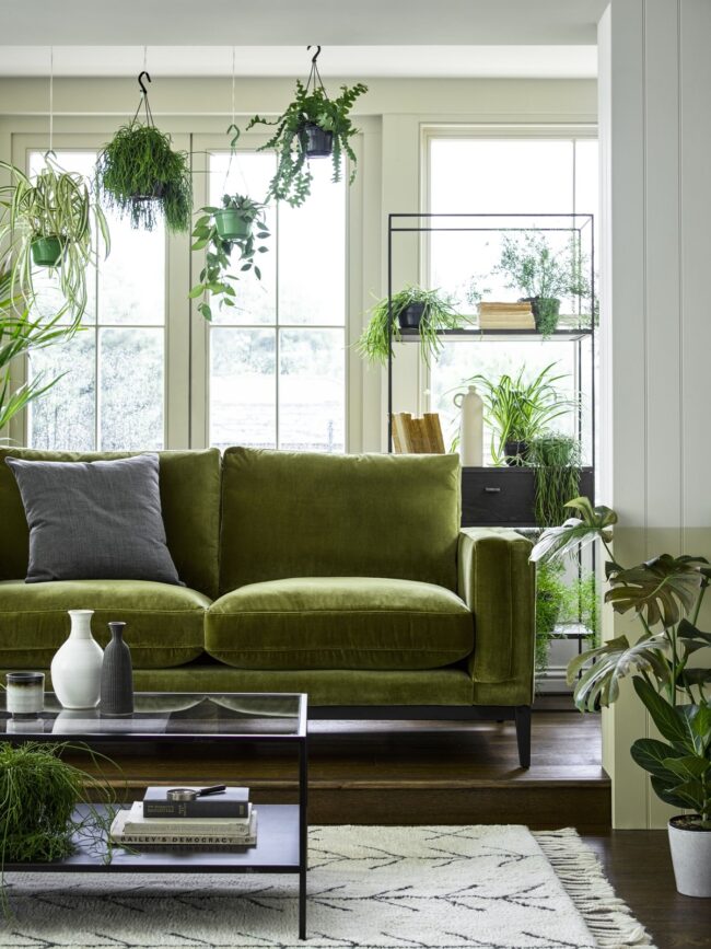 Earthy Olive Tones for Inviting Spaces