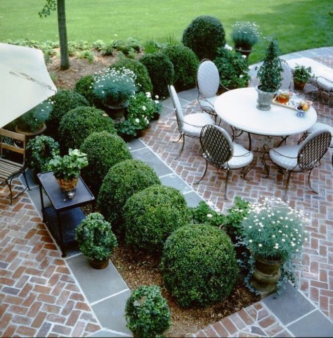 Intricate Topiary Designs for Stunning Gardens