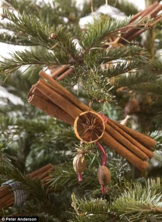 A Simple Ornament with Cinnamon & Citrus