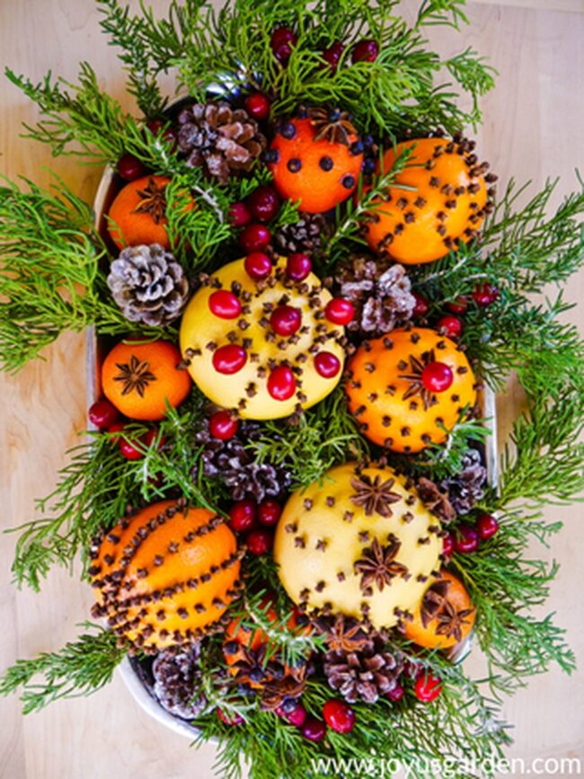 A Fresh Citrus & Pinecone Holiday Display