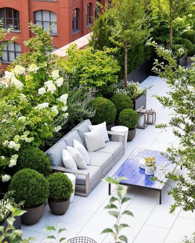 Lush Rooftop Escape