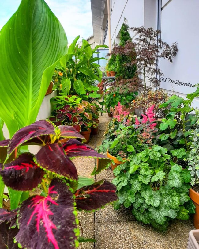 Lush Pathway Above the Streets