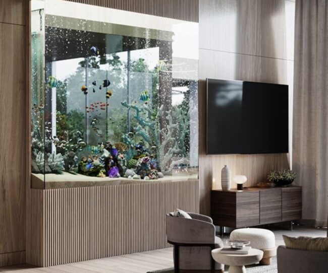 Corner Fish Tank for Modern Homes