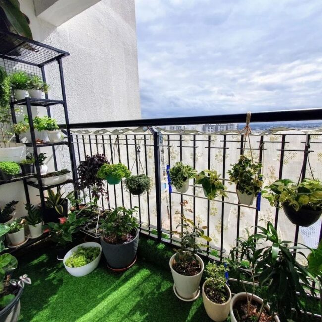 Tranquil Green Oasis Balcony