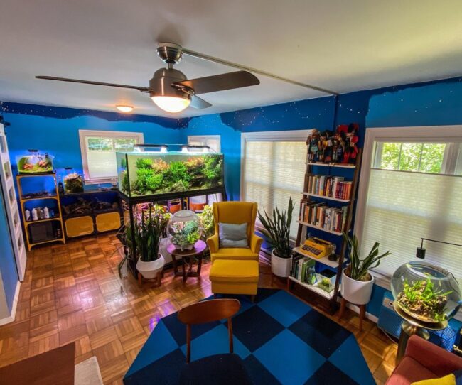 Cozy Living Room with Multiple Aquariums