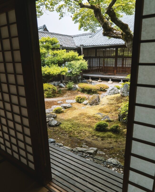 Peaceful Courtyard Oasis