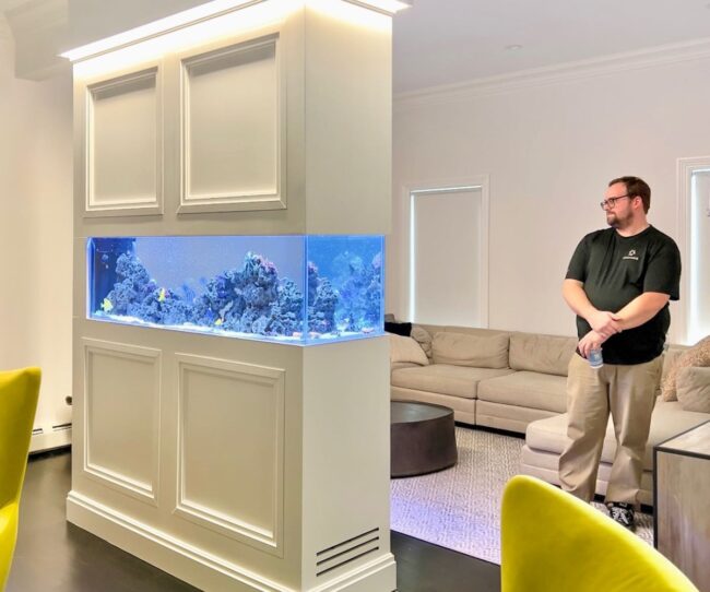 Elegant Fish Tank Divider for Minimalist Spaces