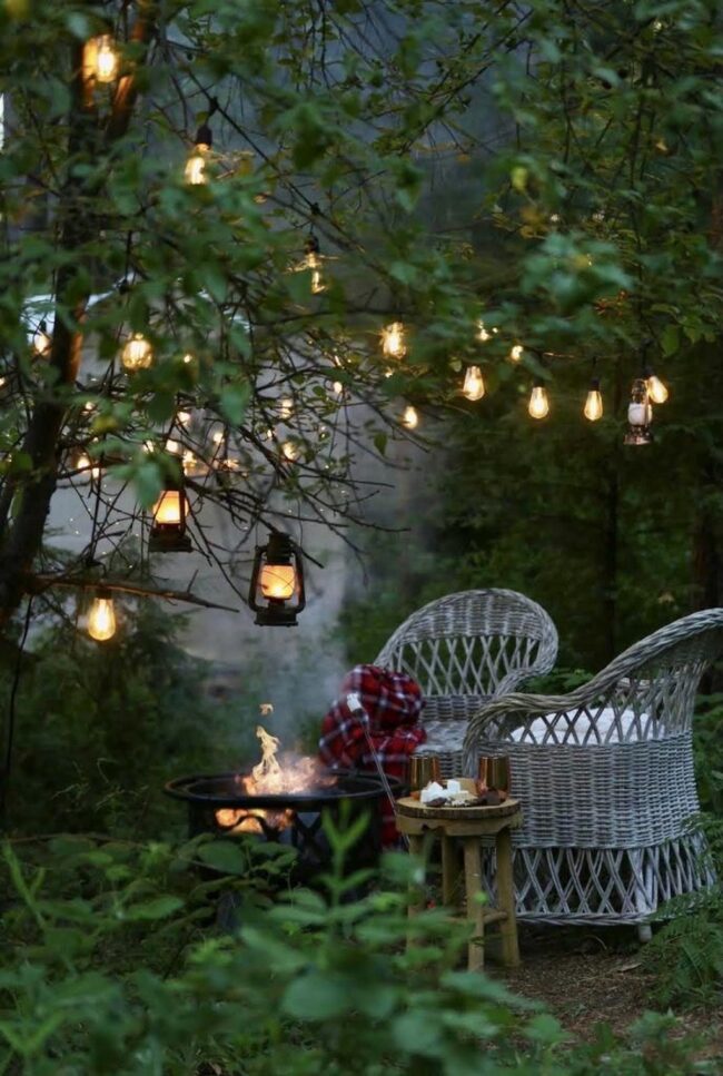 A Forest Nook Enchanted by Light