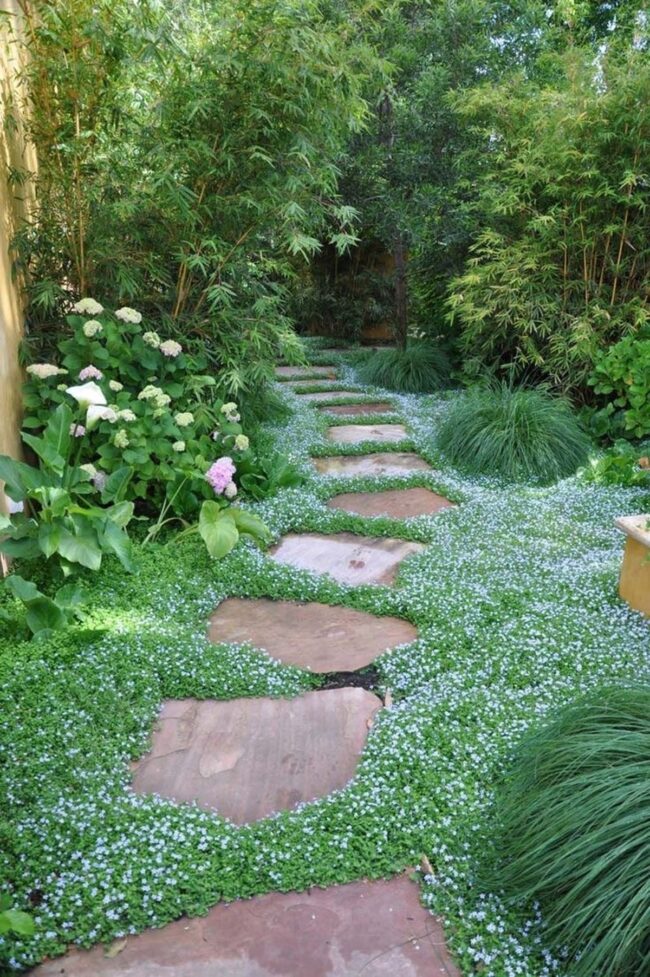 An Enchanted Garden Path to Explore