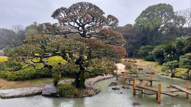 Artfully Shaped Trees and Rustic Bridges