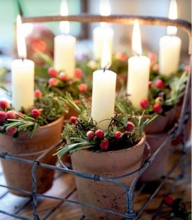 A Cozy Candle Arrangement with Potted Greenery