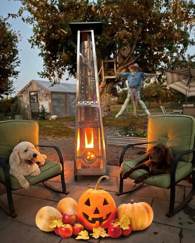 Cozy Pet-Friendly Halloween Patio