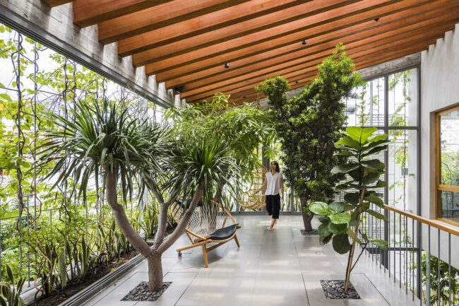 Biophilic Design: Bringing the Outdoors Inside