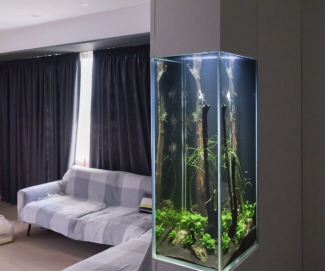 Integrated Fish Tank with Natural Elements