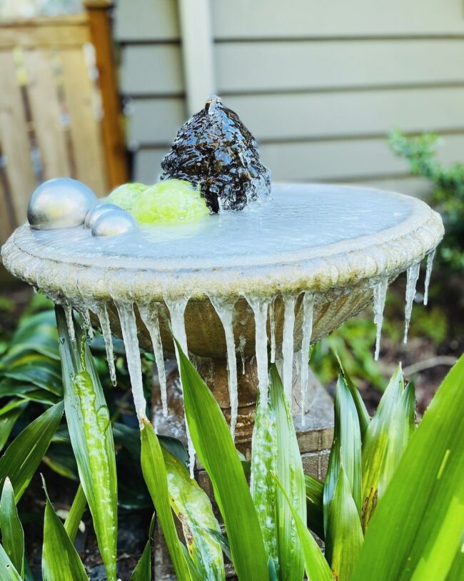 Whimsical Ice Display