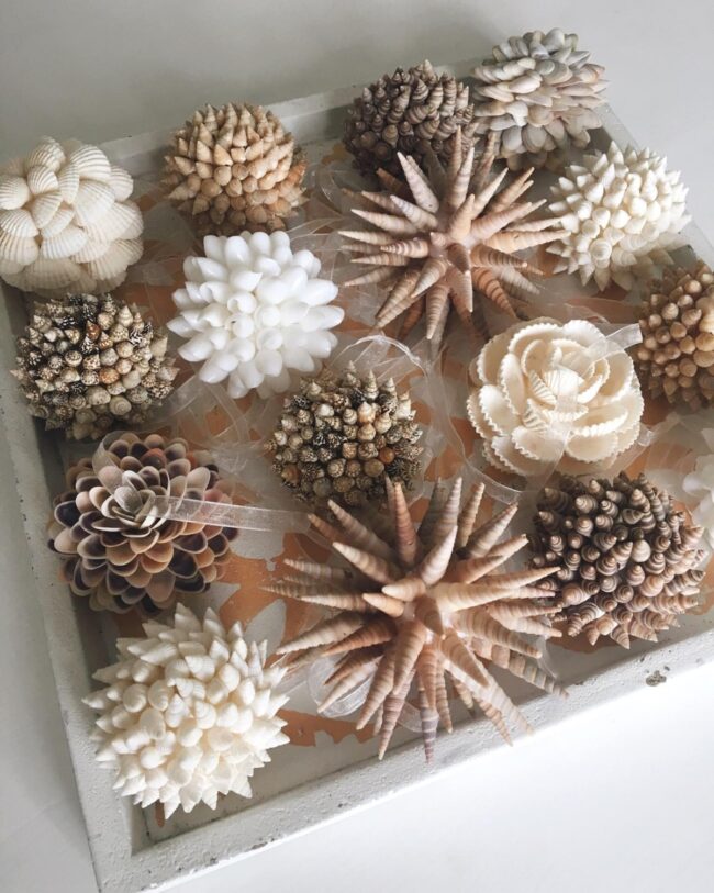 Seashell Decor Treasures