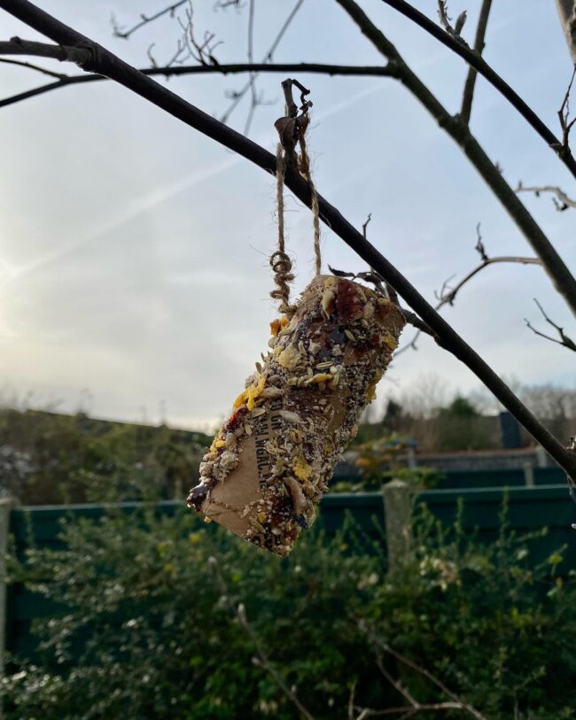 Suet Log Bird Feeder