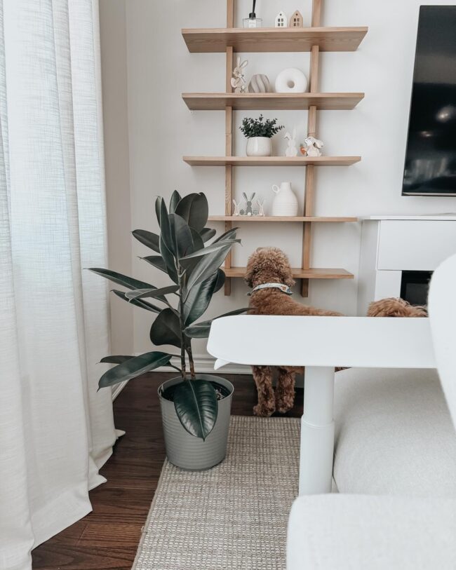 Minimalist Floating Shelves