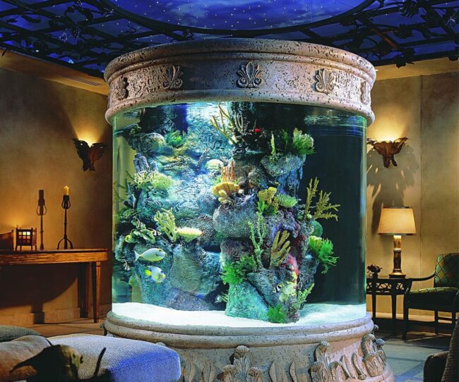 Grand Circular Fish Tank Statement Piece