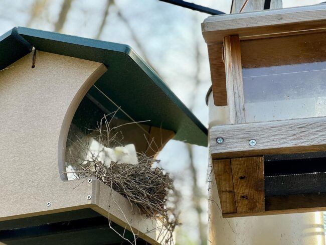 Dual-Entry Bird Feeder