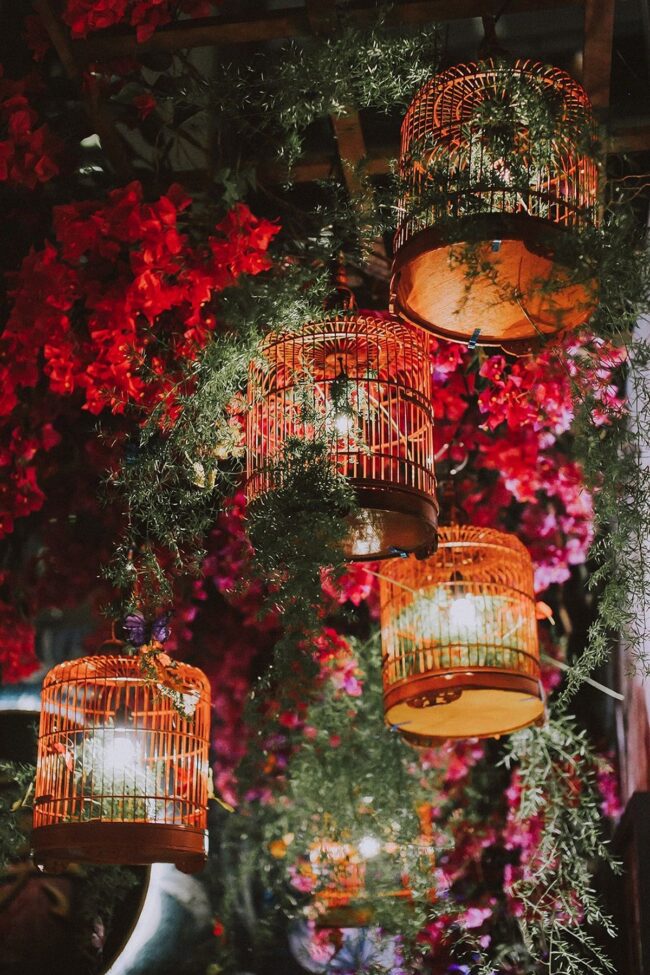 Hanging Cages Illuminating the Garden