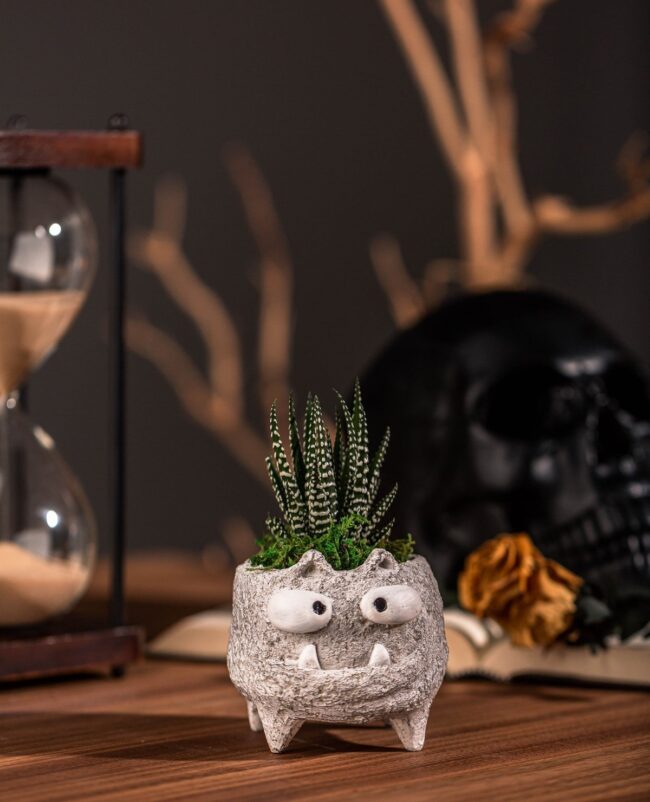 Playful Succulent Halloween Planter