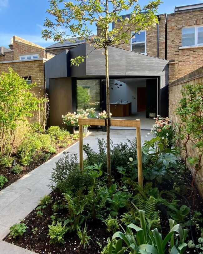 Contemporary Small Garden With a Tree