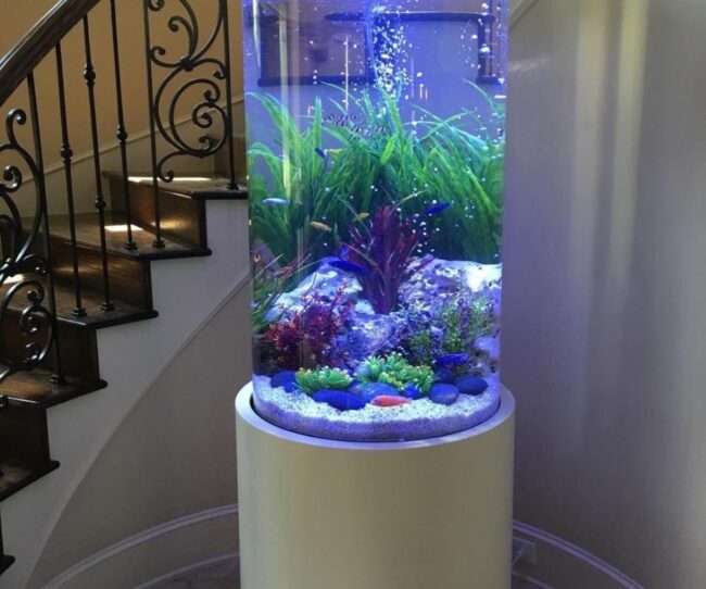 Vertical Aquarium in Stairwell Nook