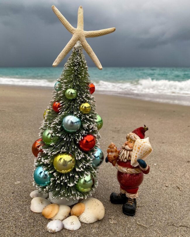 Coastal Holiday Tree Display