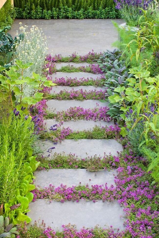 Blooms Framing a Stunning Stairway Path