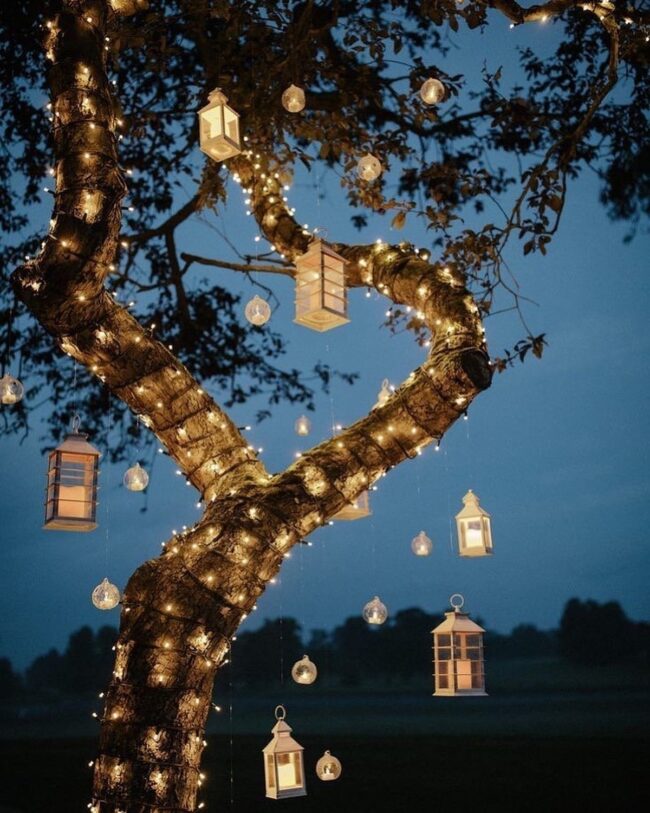 Majestic Tree Lantern Glow