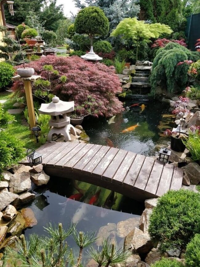 Elegant Koi Ponds With Graceful Bridges