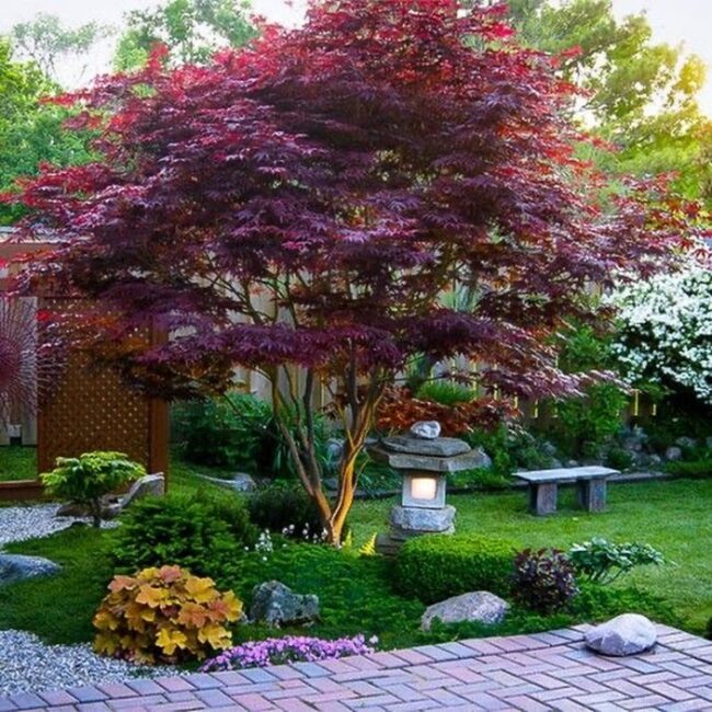 Abundant Foliage and Enduring Stone Lanterns