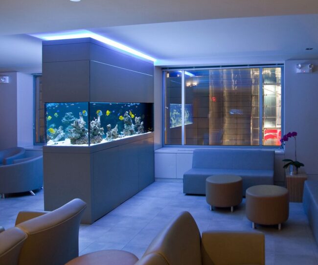 Modern Large Aquarium for Elegant Spaces