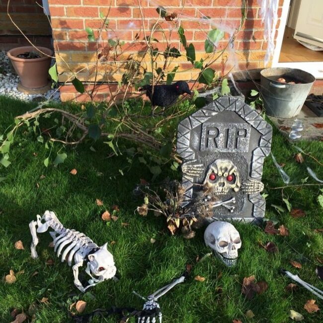 Creepy Skeleton and Pet Scene