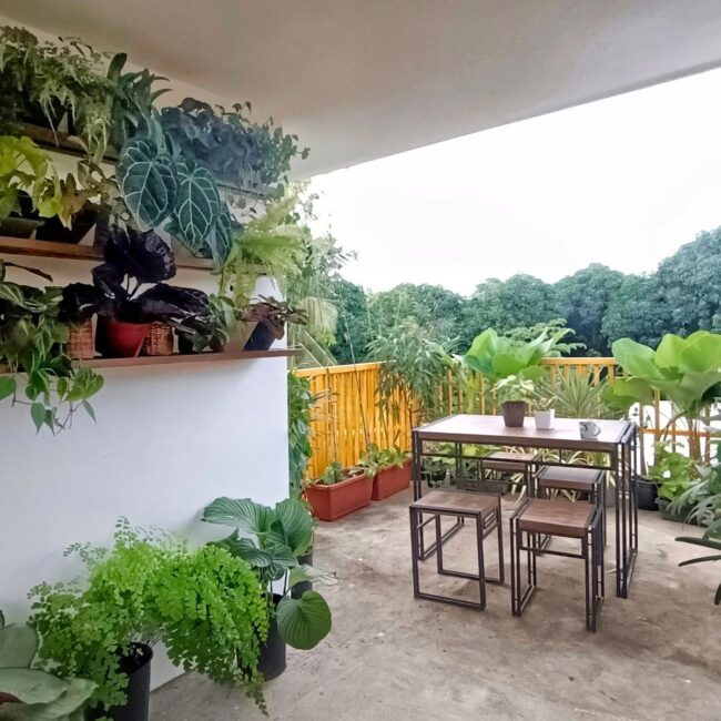 Indian-Inspired Balcony Garden