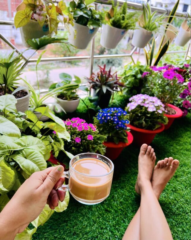 Personal Greenhouse for Morning Bliss