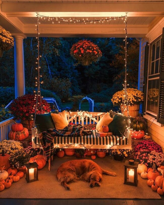 Cozy Halloween Porch with Pets