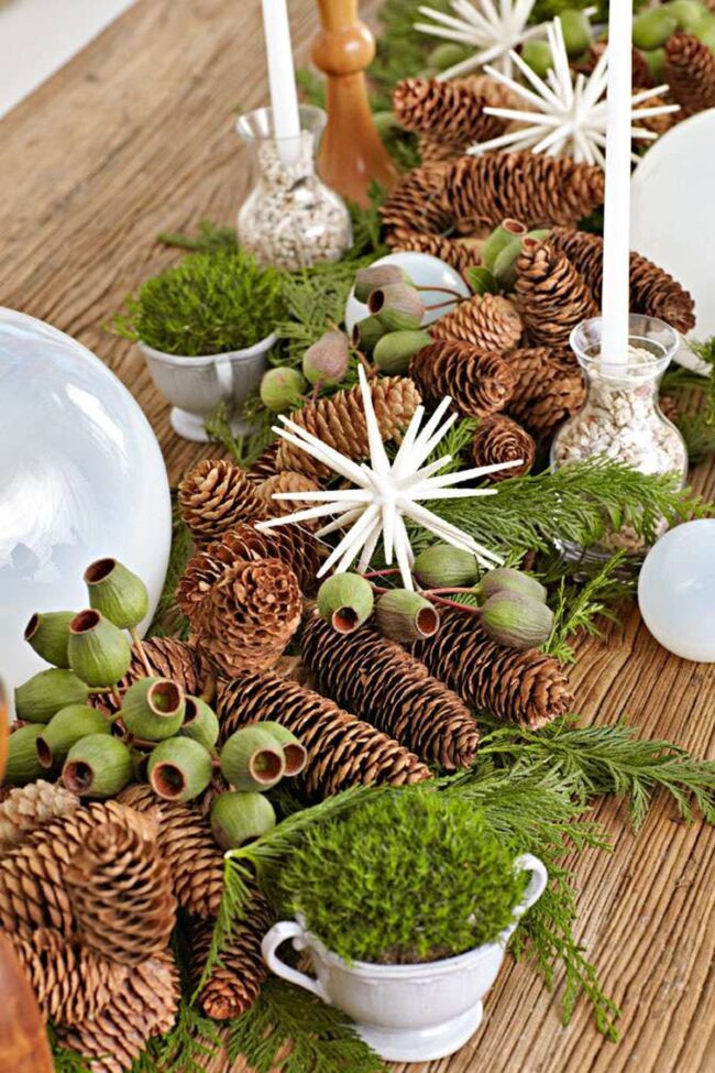 A Natural Centerpiece with Pinecones & Moss