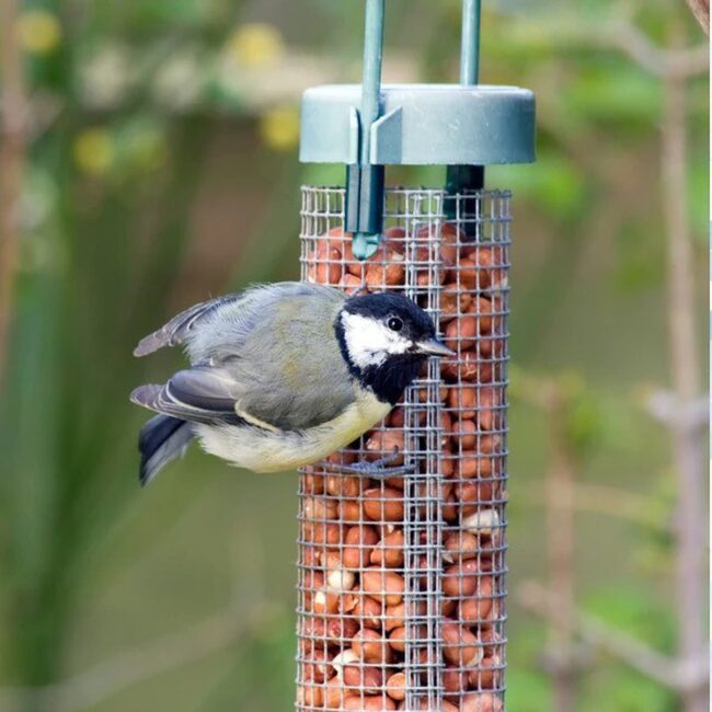 Metal Mesh Peanut Feeder