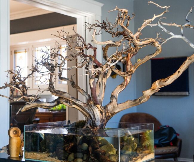 Tree-Inspired Fish Tank