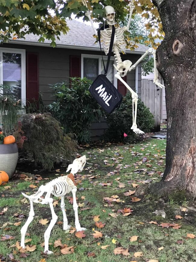 Skeleton Delivering the Mail