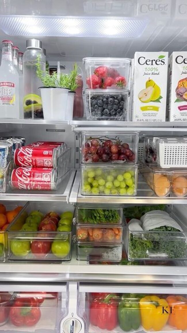 Small Fridge Organization for Apartments