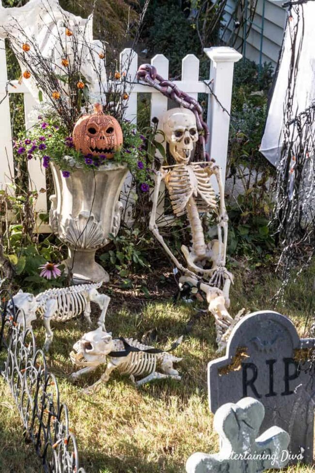 Skeleton Family Gathering Scene