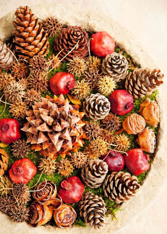 A Bowl Filled with Pinecones & Pomegranates